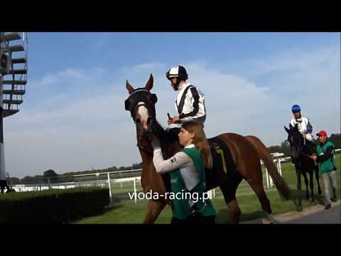 Gon. VI - 15.06.2019 - Hayat Al Khalediah (Nayef Al Khalidiah - Tala Al   Khalediah)