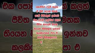 Download lagu නිවන් දකින්න කාලය පැමිණ ඇත. #love #nature #flowers mp3 Download lagu නිවන් දකින්න කාලය පැමිණ ඇත. #love #nature #flowers mp3