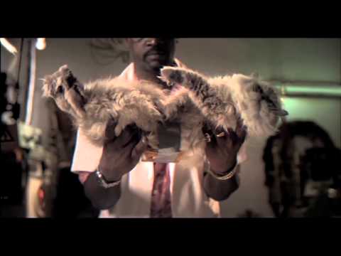 Freie Energie ! - Katze vs. geschmiertes Toastbrot -