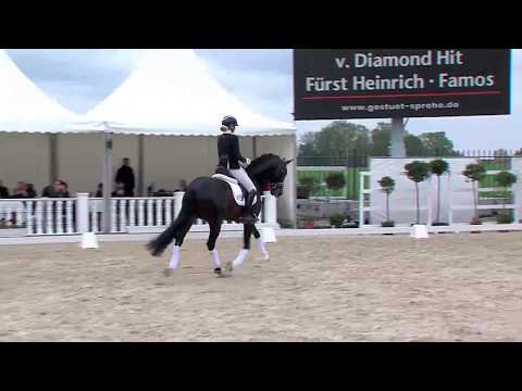 Diamond First - Tag der offenen Tür