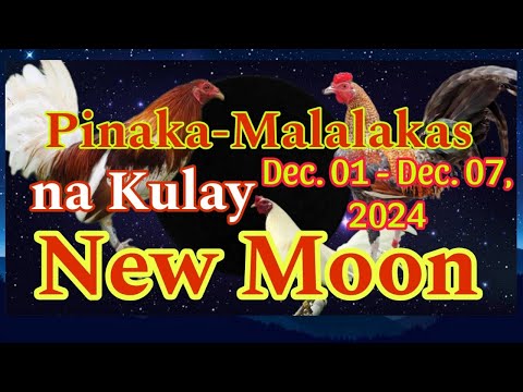 Top 7 Malalakas na Kulay Balahibo ng Manok/Mga Kulay ng Balahibo na  Patok tuwing New Moon