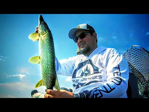 Video Thumbnail for Pike Fishing at Clarke Lake, Sk