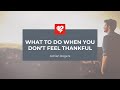 Adrian Rogers: What to Do When You Don’t Feel Thankful (2446)
