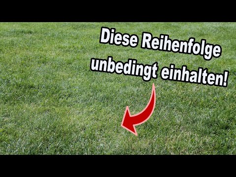Das ist die richtige Reihenfolge bei der Rasenpflege im Frühjahr!