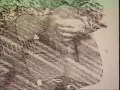 The Wedding Present - Why Are You Being So Reasonable Now? (Promotional Video, 1988)