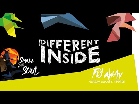 Different Inside -Fly away (acoustic - live)