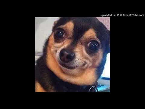 We Them Dogs Ft. Doggy Drew