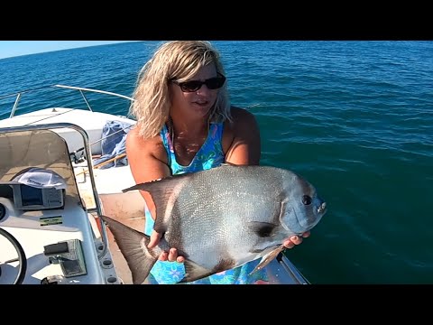 The Best Bait for Catching Spadefish
