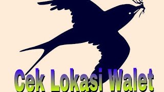 Download lagu suara panggil burung walet mp3