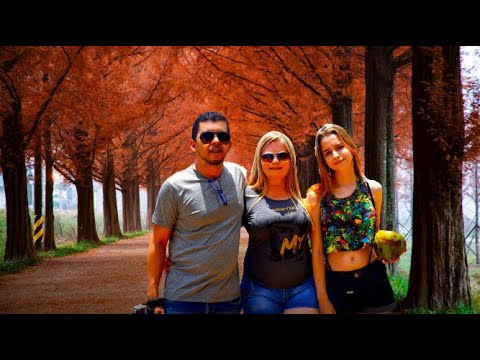 Basta Você me Ligar   Versão All you Gotta do is Call Me