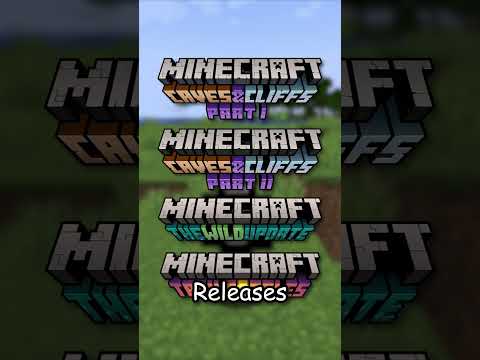Minecraft 1.21 END Update