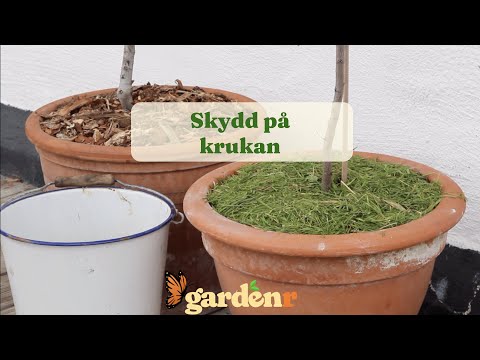 Pot protection - Gardenhacks by GardenR