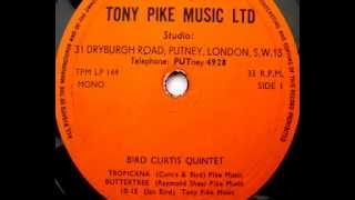 Curtis Bird tropicana