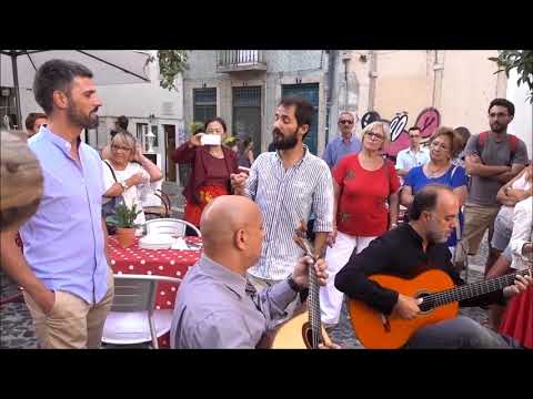 Diogo Rocha e José Quaresma - "O Leilão da Casa da Mariquinhas"