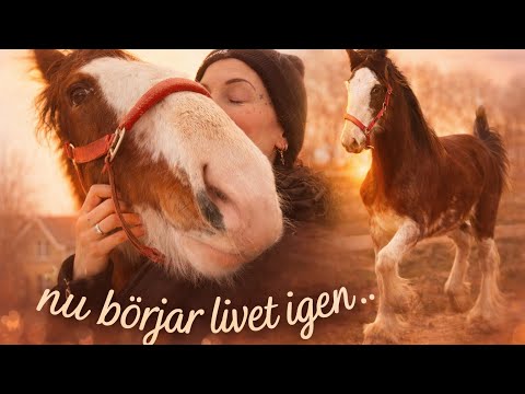 En DRÖM || Uppdaterar er || Vlogg