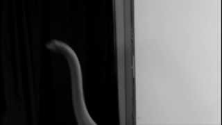 La Cuchara - experimental, avant-garde short film