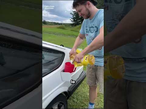 ¿Por qué usan aceite de girasol como combustible para sus coches?