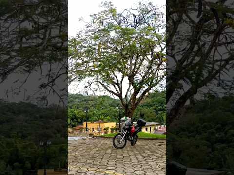 ⛪ Igreja Matriz São Vicente de Paulo | Um Tesouro Histórico de Luiz Alves – Santa Catarina