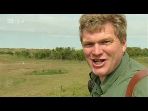 Wild Britain With Ray Mears S01E02   Shingle Shore