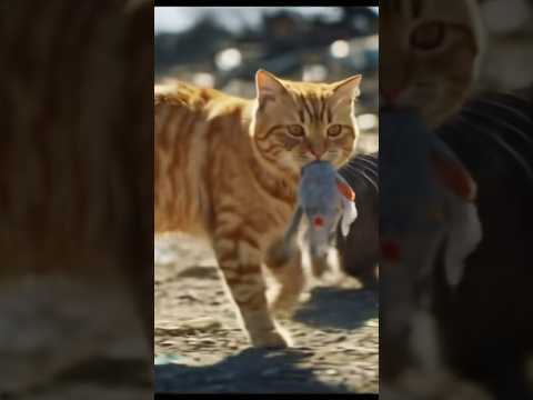 Afflicted Cat Memoir 😭#cat #aicat #cats