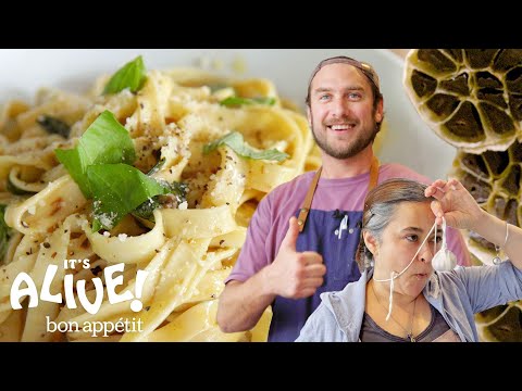 download lagu mp3 mp4 Black Garlic Dehydrator, download lagu Black Garlic Dehydrator gratis, unduh video klip Black Garlic Dehydrator