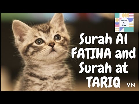 Quran for kids Surah Al-FATIHA and Surah At-TARIQ (86) cute cats