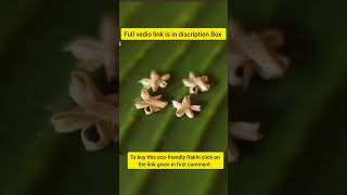 Unique eco-friendly bamboo rakhi #marathi #rakhi #rakhabandhan #ecofriendly