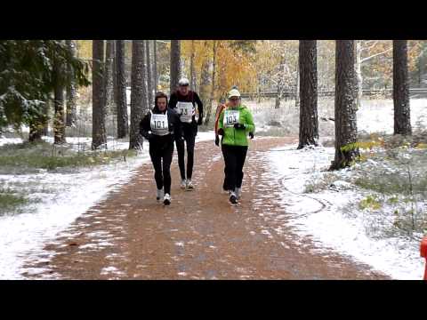 Karlslundsloppet 2010 - Start