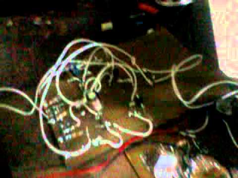 Passarinho eletrônico novo