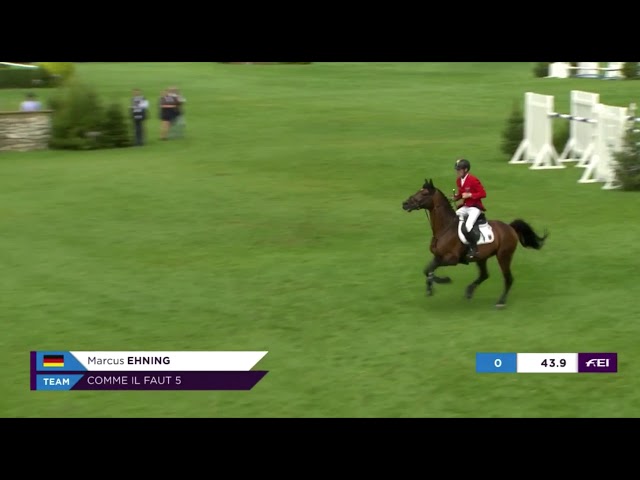 Father of this Frozen Embryo is the CSI 1.60m jumping Stallion Comme il Faut with rider Marcus Ehning.