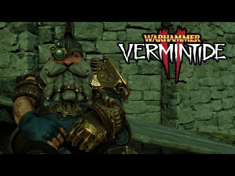 Let's Talk About Engineer (Warhammer: Vermintide 2)