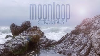 Moonloop - Strombus