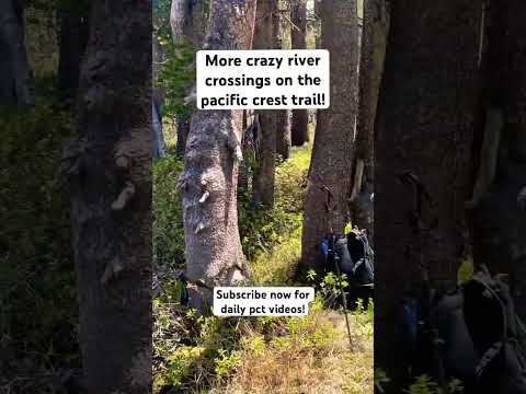 Pacific Crest Trail River Crossings!