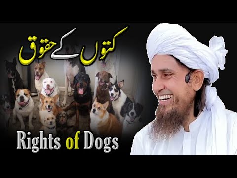Rights of Dogs | Funny Video | Mufti Tariq Masood Funny | Mufti Tariq Masood | The Way Of Truth
