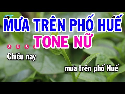 Karaoke Mưa Trên Phố Huế Tone Nữ ( F# ) Nhạc Sống Kim Liễu