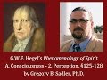 Half Hour Hegel: The Complete Phenomenology of ...