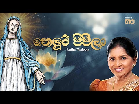 නෙලුම් පිපීලා | Latha Walpola | Rev. Fr. Marcelline Jayakody | Mount Zion | Nelum pipila