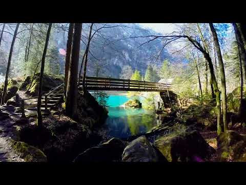 ER1146 Power Of Enlightenment (Alive)