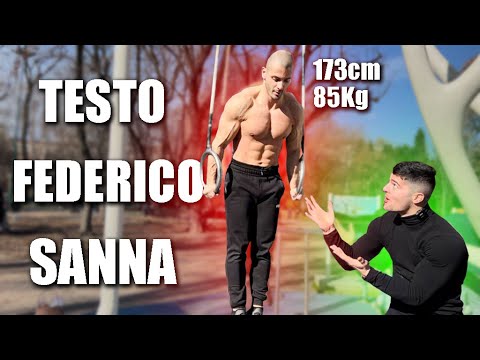 TEXT BY FEDERICO SANNA ON CALISTHENICS.