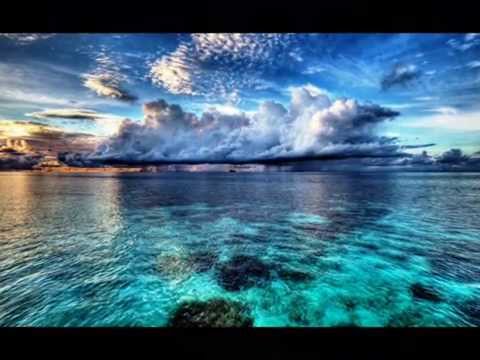 Andrew Neu  Moving On