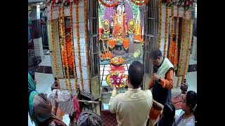 shakti Mandir Hsp Live Stream