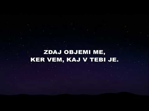 Jan Plestenjak, Modrijani in Coto - Dal bom besedo (BESEDILO)