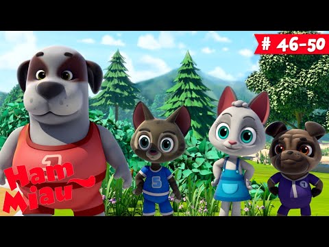 Desene animate cu pisici si catei 🐶 Ham Miau 🐱 Ep. 46-50