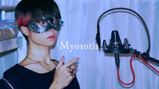 The beginning of the song, your voice is *extremely-maginificent* (1) - 【超学生】Myosotis @歌ってみた