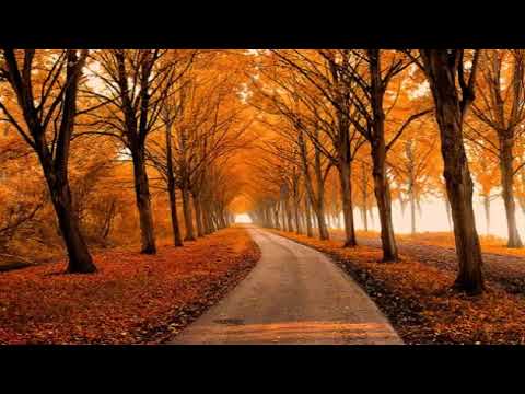 Pecro$ - Aşk Sonbahar #lionsgangmusıc