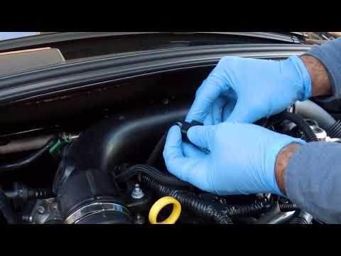 Racechip ford focus 1.0