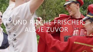 Old Spice Unglaubliche Festival Frische