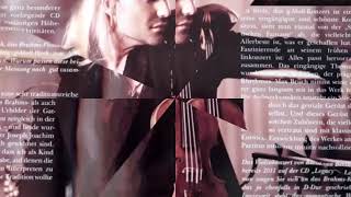 David Garrett - Timeless - Brahms- Violin Concerto In D, Op. 77 - 1. Allegro Non Troppo - Faixa 4