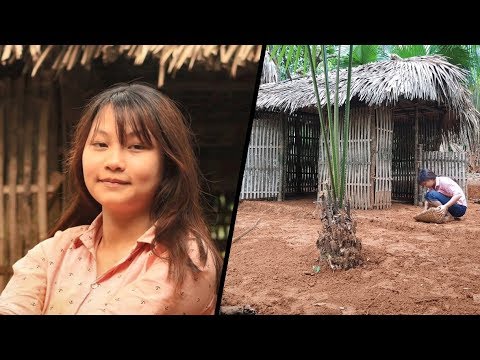 LIVE Primitive Technology Primitive girl Make bamboo tents and create a yard full video