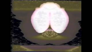 Mika Vainio - Processing The Dead Minotaur (visual art postporn)